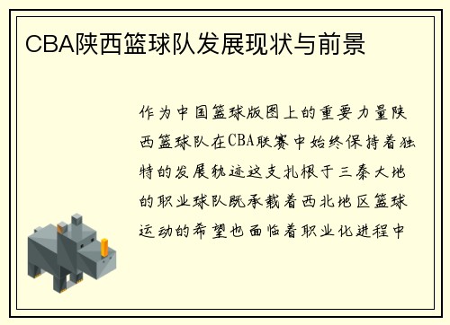 CBA陕西篮球队发展现状与前景