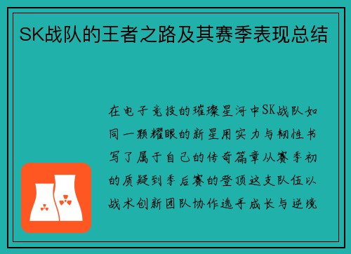 SK战队的王者之路及其赛季表现总结