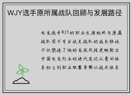 WJY选手原所属战队回顾与发展路径