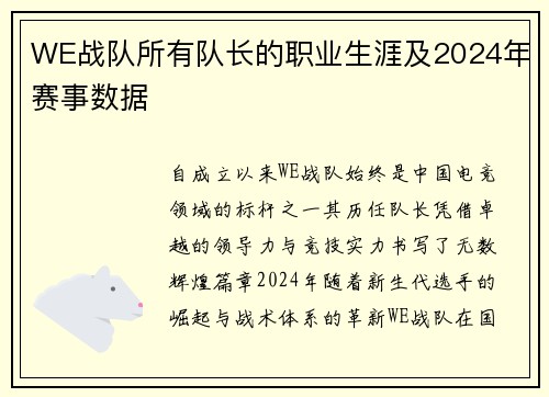 WE战队所有队长的职业生涯及2024年赛事数据